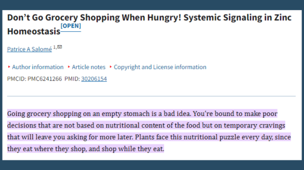 Never Shop When You're Hungry